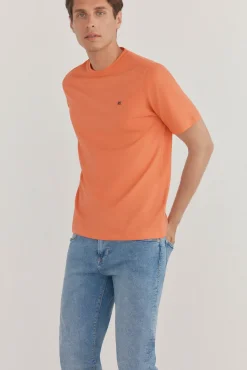 Camiseta básica