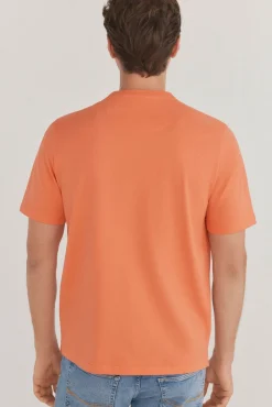 Camiseta básica