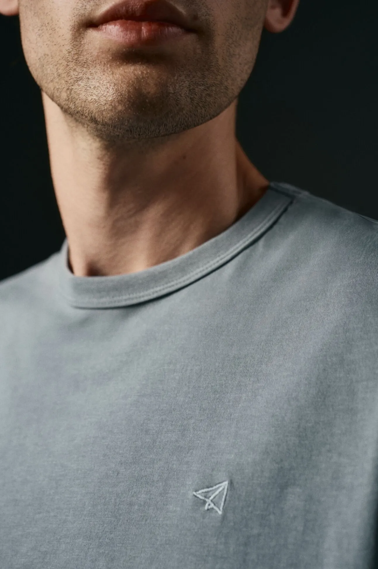 Camiseta básica con bordado avión