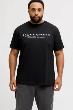 Camiseta básica estampado frontal