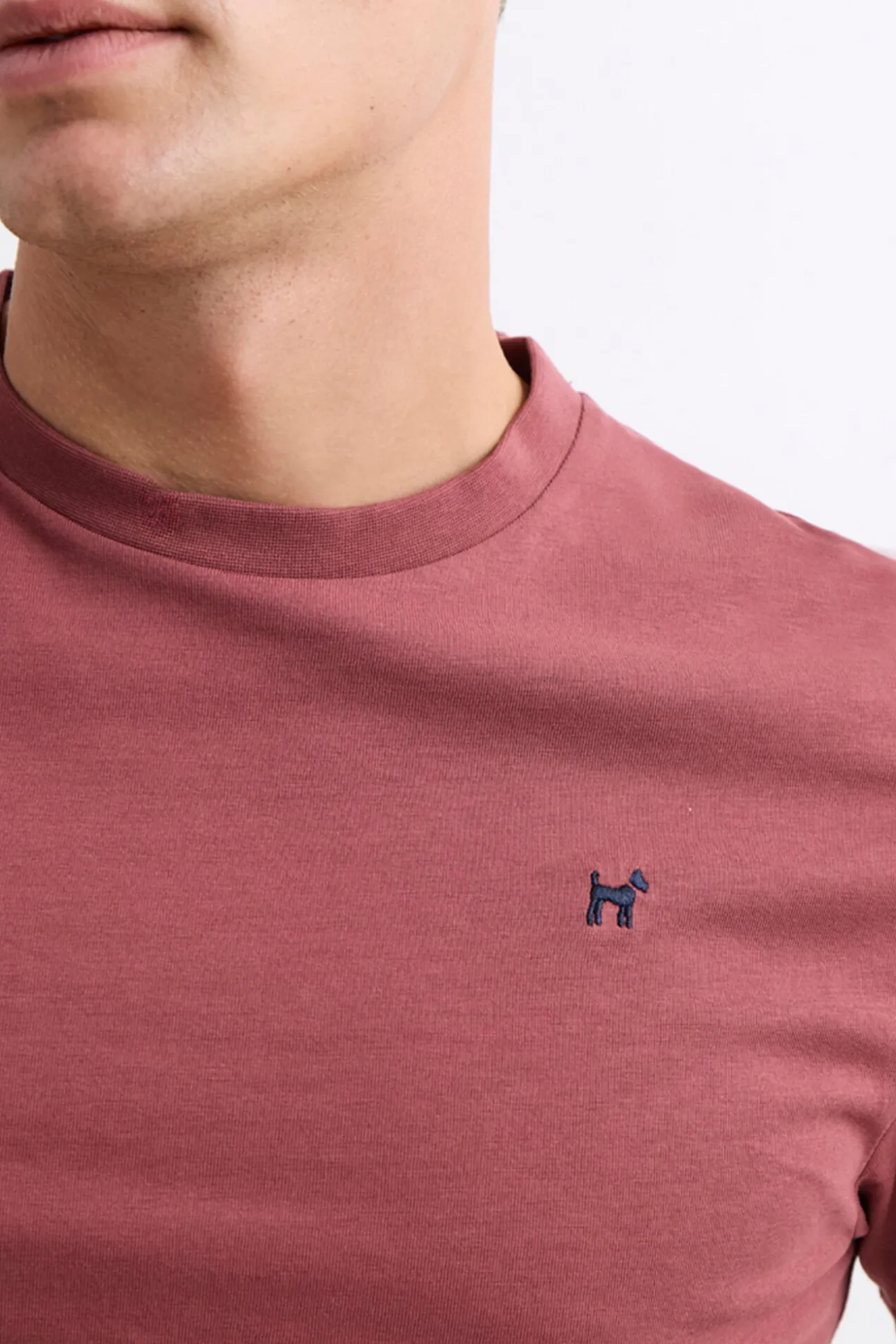 Camiseta Insignia