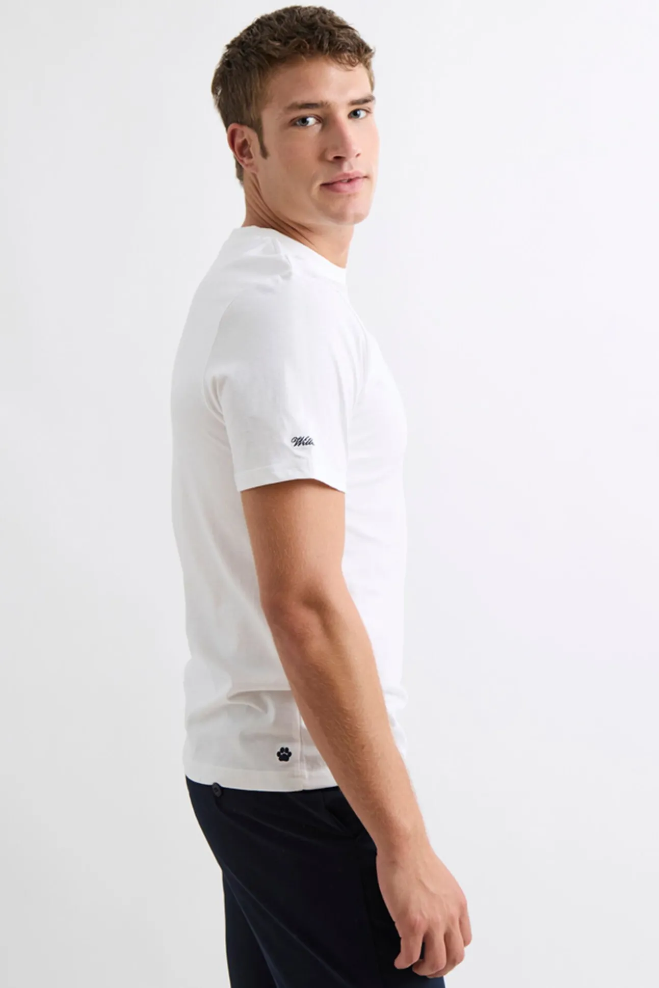 Camiseta Insignia