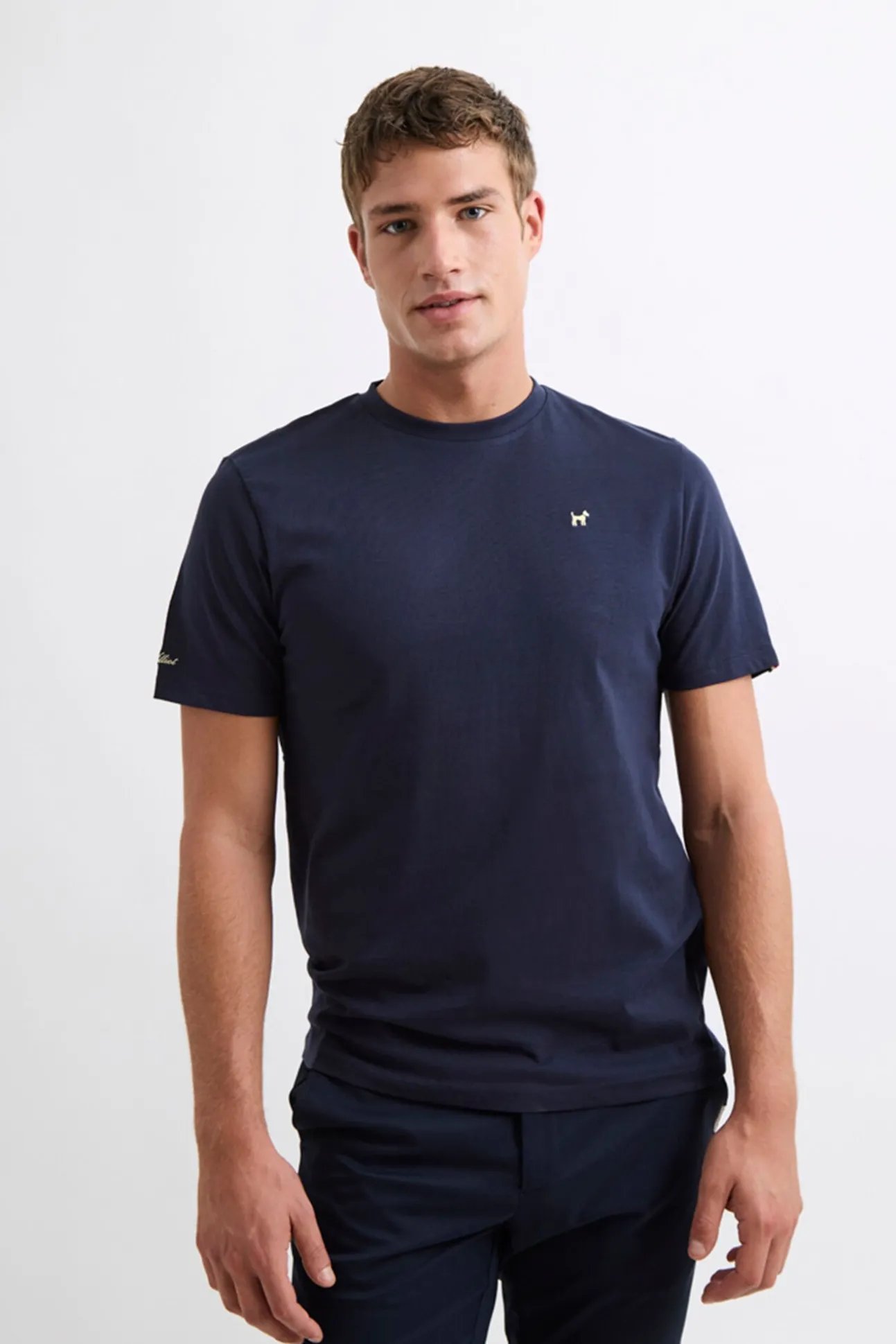 Camiseta Insignia