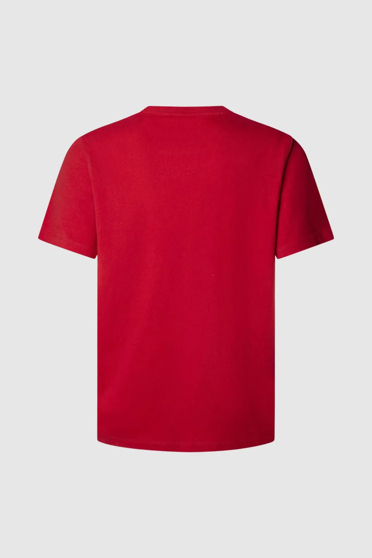 Camiseta Logo Estampado Fit Regular