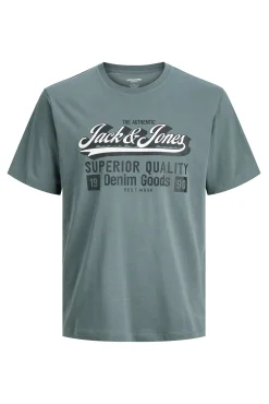 Camiseta regular fit PLUS