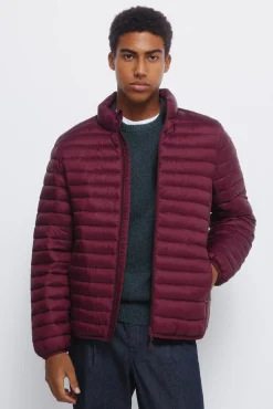 Chaqueta acolchada