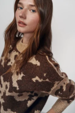 Jersey Cocoa