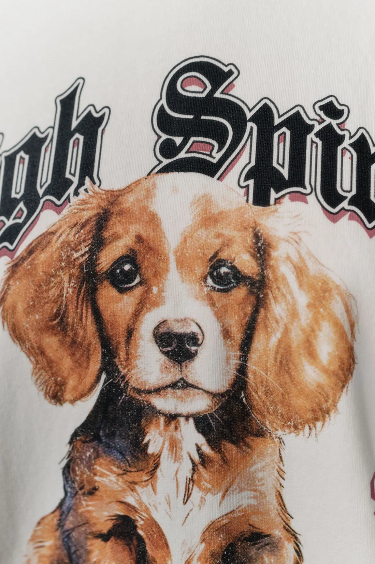 Sudadera Barky