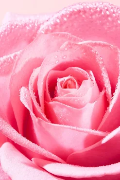 VERY ROSE EXFOLIANTE SUAVE 75ML